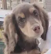ぎんちゃん♡