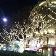ロン