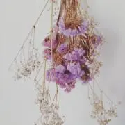 Yuk