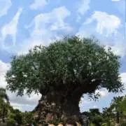 basilicowasabia113の画像