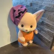 たこたに まとめ割 写真多数 匿名発送の画像
