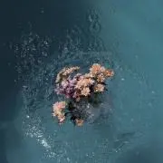 綾香の画像