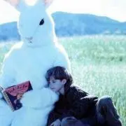 たゆ