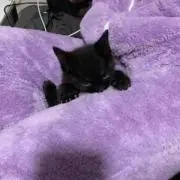 Jの画像