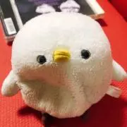 ちぇるの画像