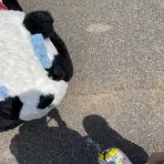 minaの画像