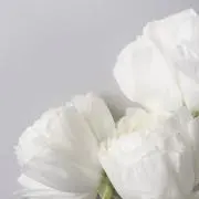 まるこ‪の画像