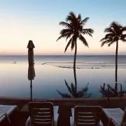 しゅんの画像