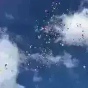 リリィの画像