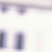 litの画像
