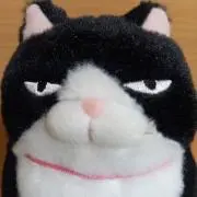 ゆゆ太郎の画像