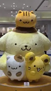ぽむ