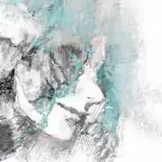 sui