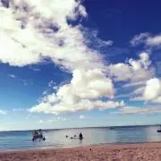 koooの画像