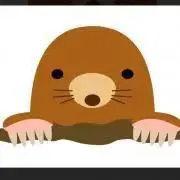 もぐらの隠れ家の画像