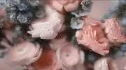 もけけ