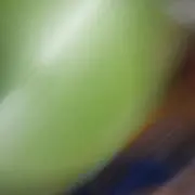 ひとの画像