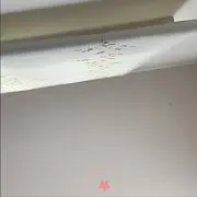 けんてぃ