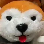 わんこやぁ〜の画像
