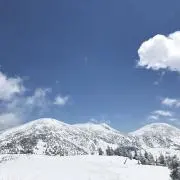 Powder snowの画像