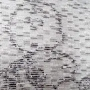 tnrの画像