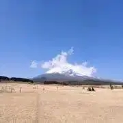 Wangの画像