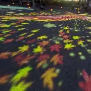 ぴかりんりん★