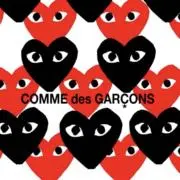 *̥₊˚‧CDG 正規品取扱 *̥₊˚‧の画像