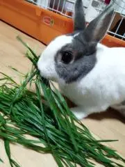 ららママの画像