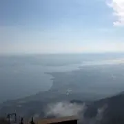 ポテト