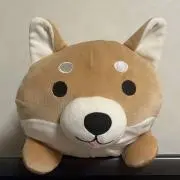 うしちゃんの画像