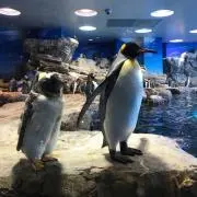 wawawaの画像