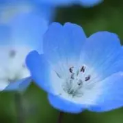 てゃすの画像