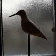 pikuopの画像