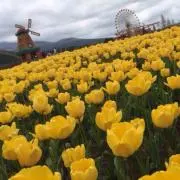 ykamh☆プロフ必読の画像