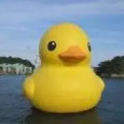 丸山の画像