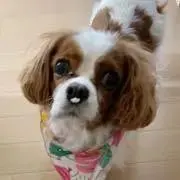 nanaoooooの画像