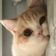 jw
