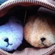 ogiumis