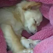 えみえみ