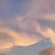サトウの画像