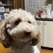 こーへ⭐️