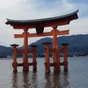 タロウの画像