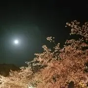 あやちょび