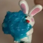 ヒンの画像