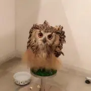 プロフ必読☆