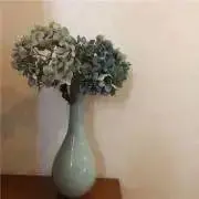 みづいろ