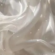 Rの画像