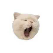 かにくりの画像