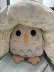 けお